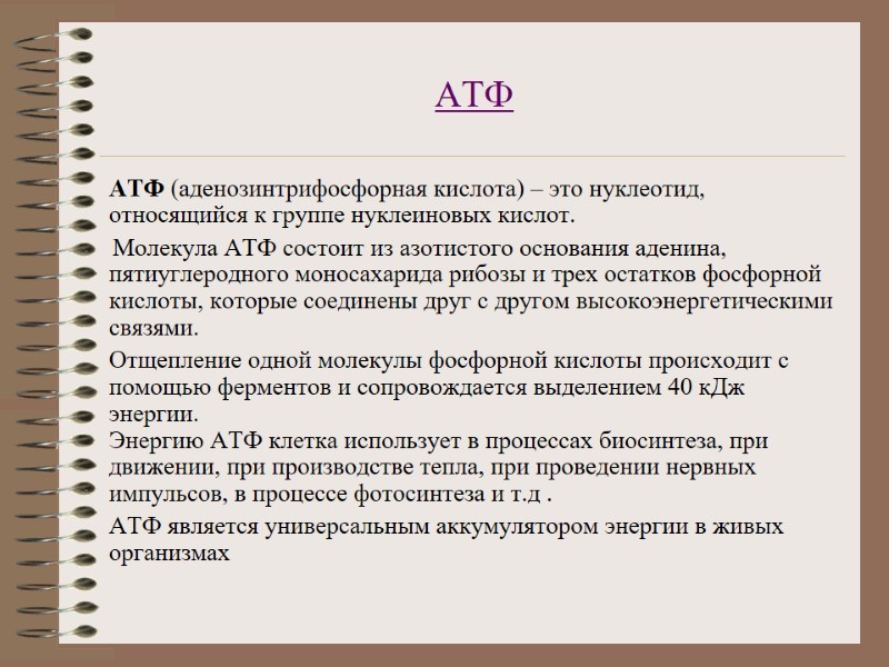 АТФ  АТФ (аденозинтрифосфорная кислота) – это нуклеотид, относящийся к группе нуклеиновых кислот. 